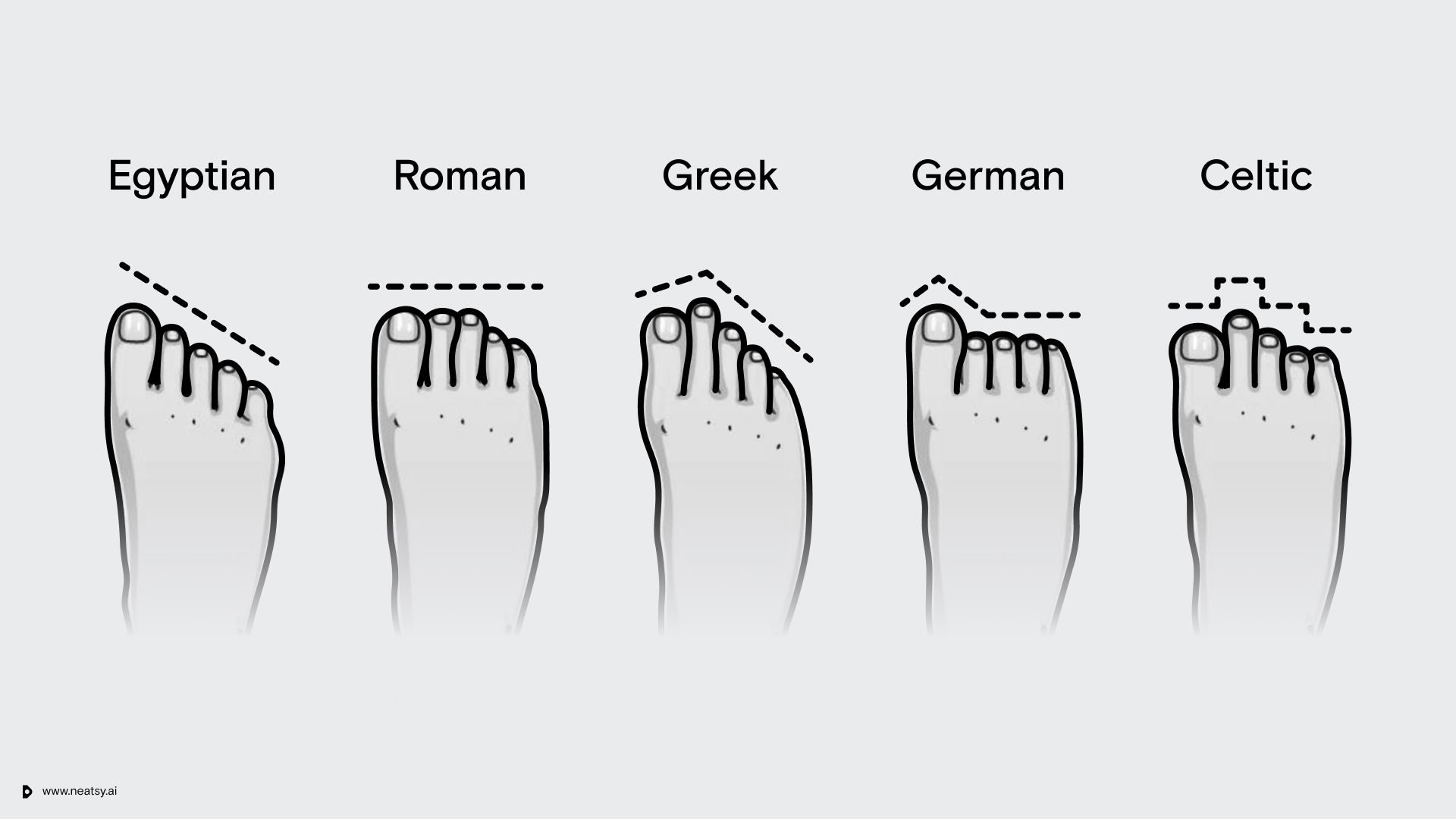 The evolution of your feet Neatsy Blog