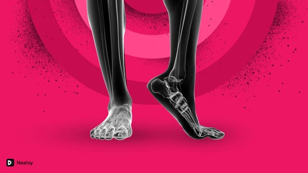 All you need to know about foot bones
